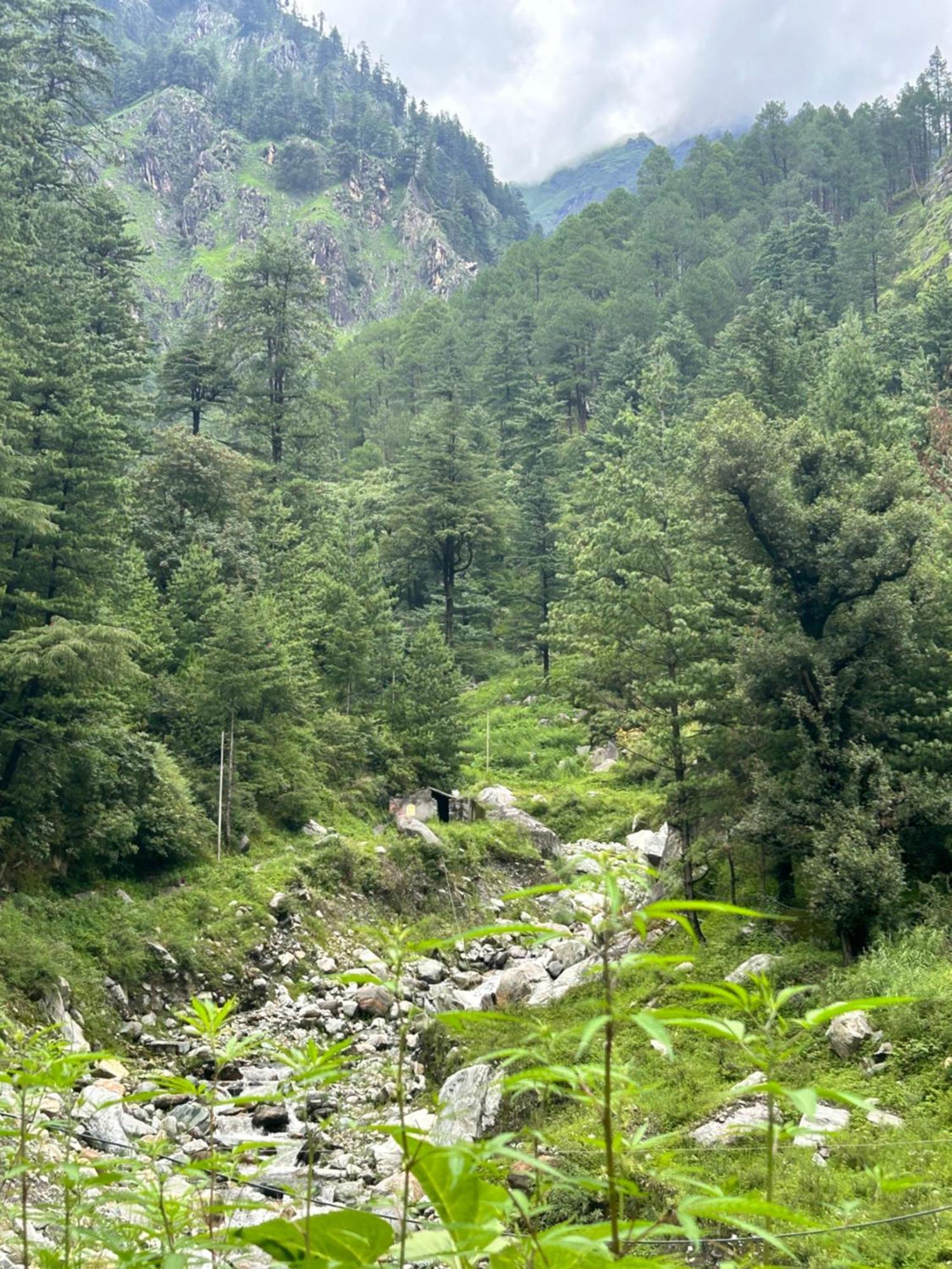 Formosa Hostel & Cafe Kasol Bagian luar foto